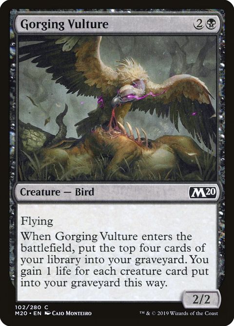 102-gorgingvulture