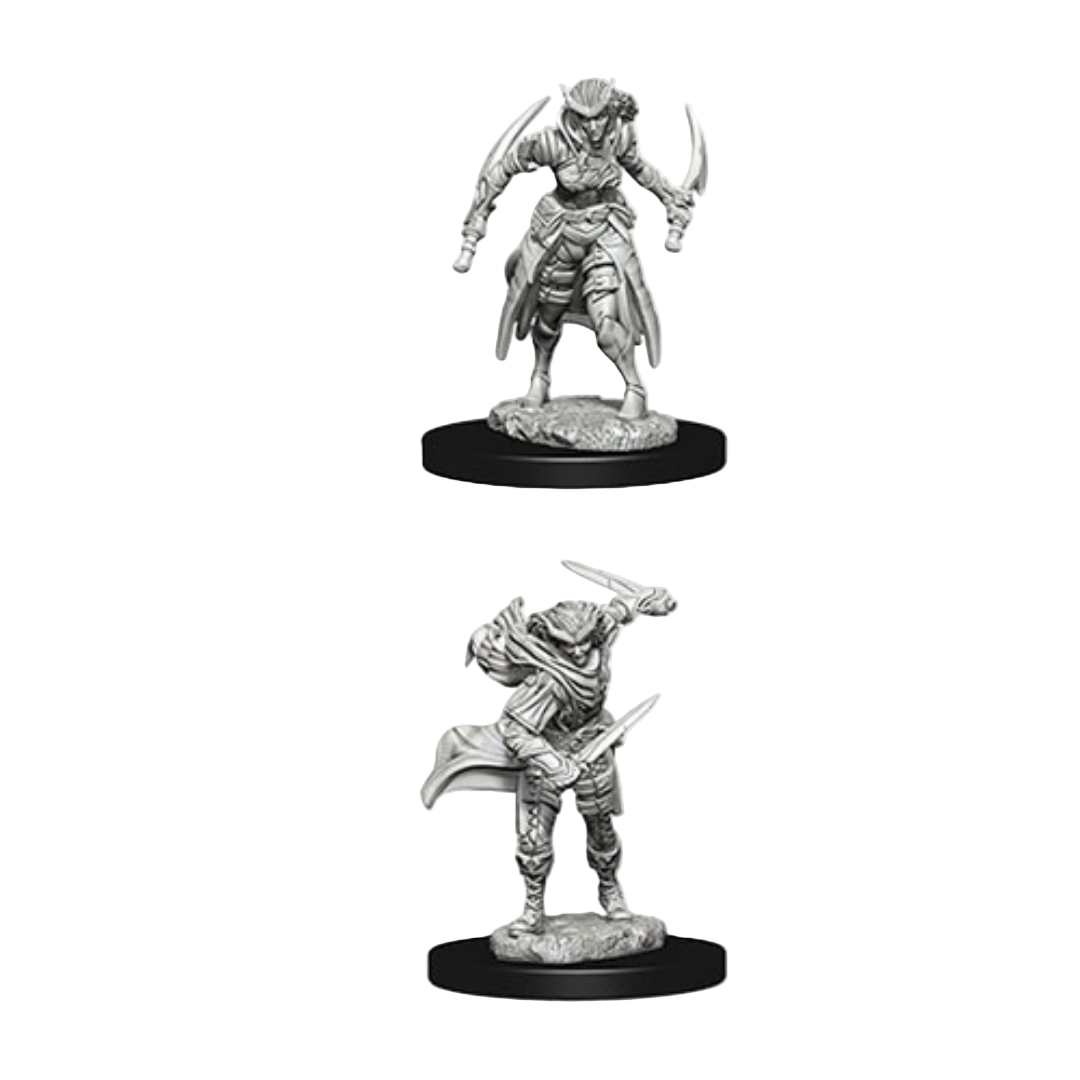 WizKids - D&D Nolzurs Marvelous Miniatures: Tiefling Female Rogue - Wave 7