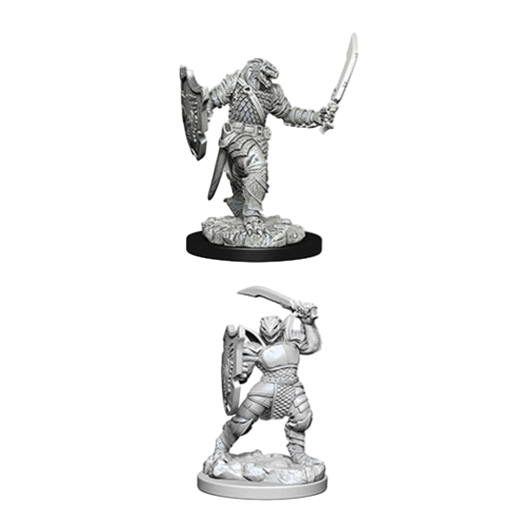 WizKids - D&D Nolzurs Marvelous Miniatures: Dragonborn Female Paladin - Wave 5