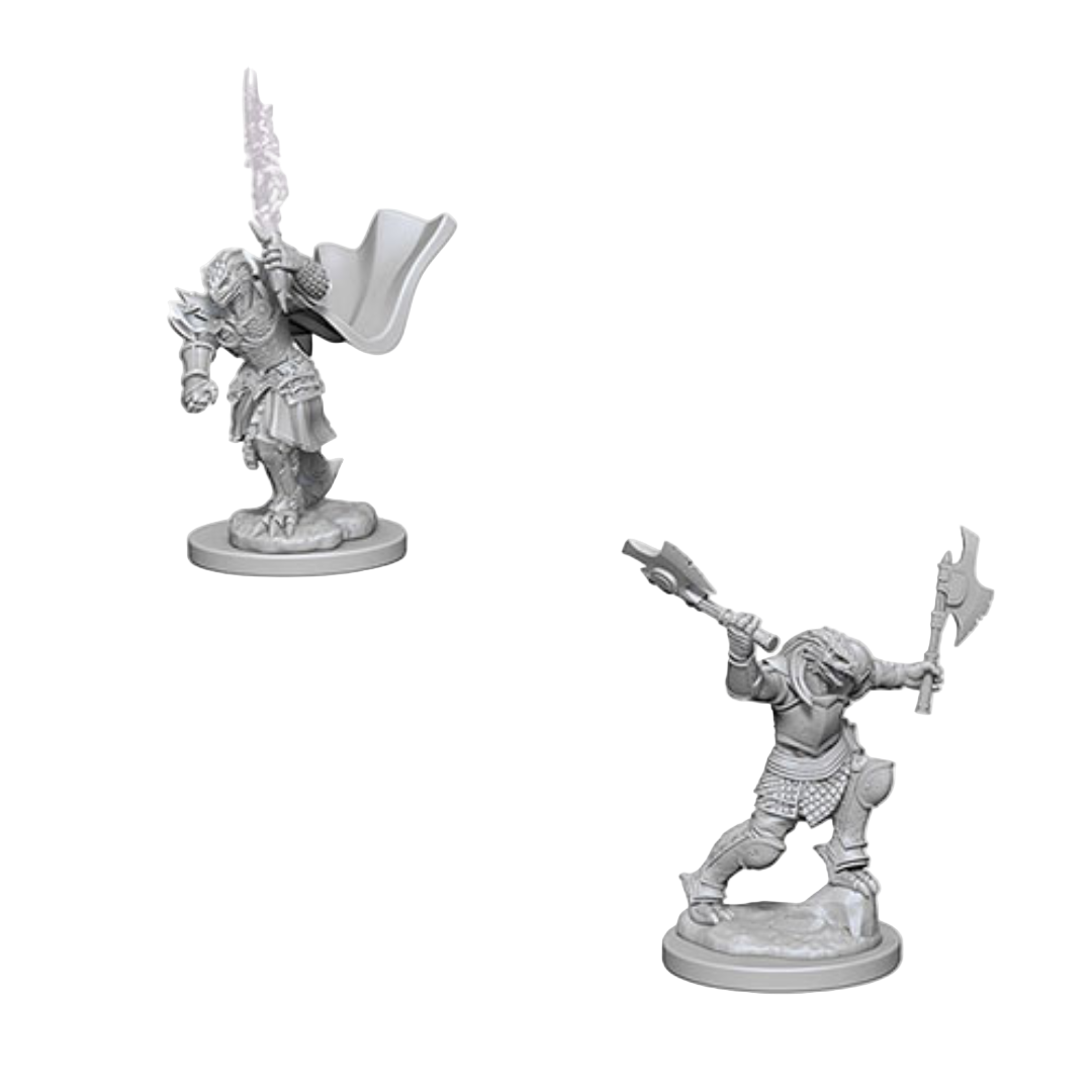 WizKids - D&D Nolzurs Marvelous Miniatures: Dragonborn Female Fighter - Wave 4
