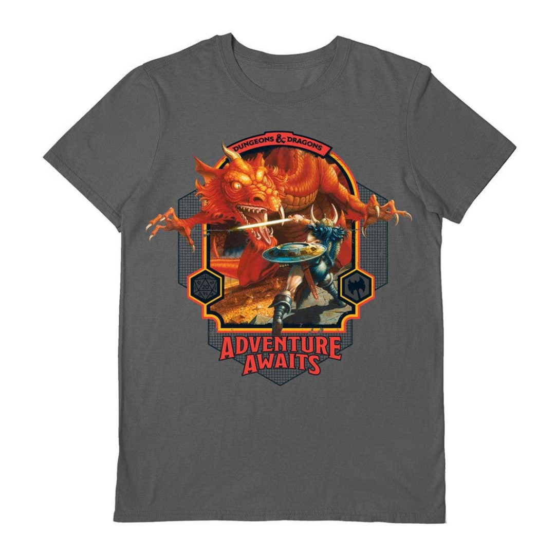 Dungeons and Dragons Official Adventure Awaits T-shirt (Grey)