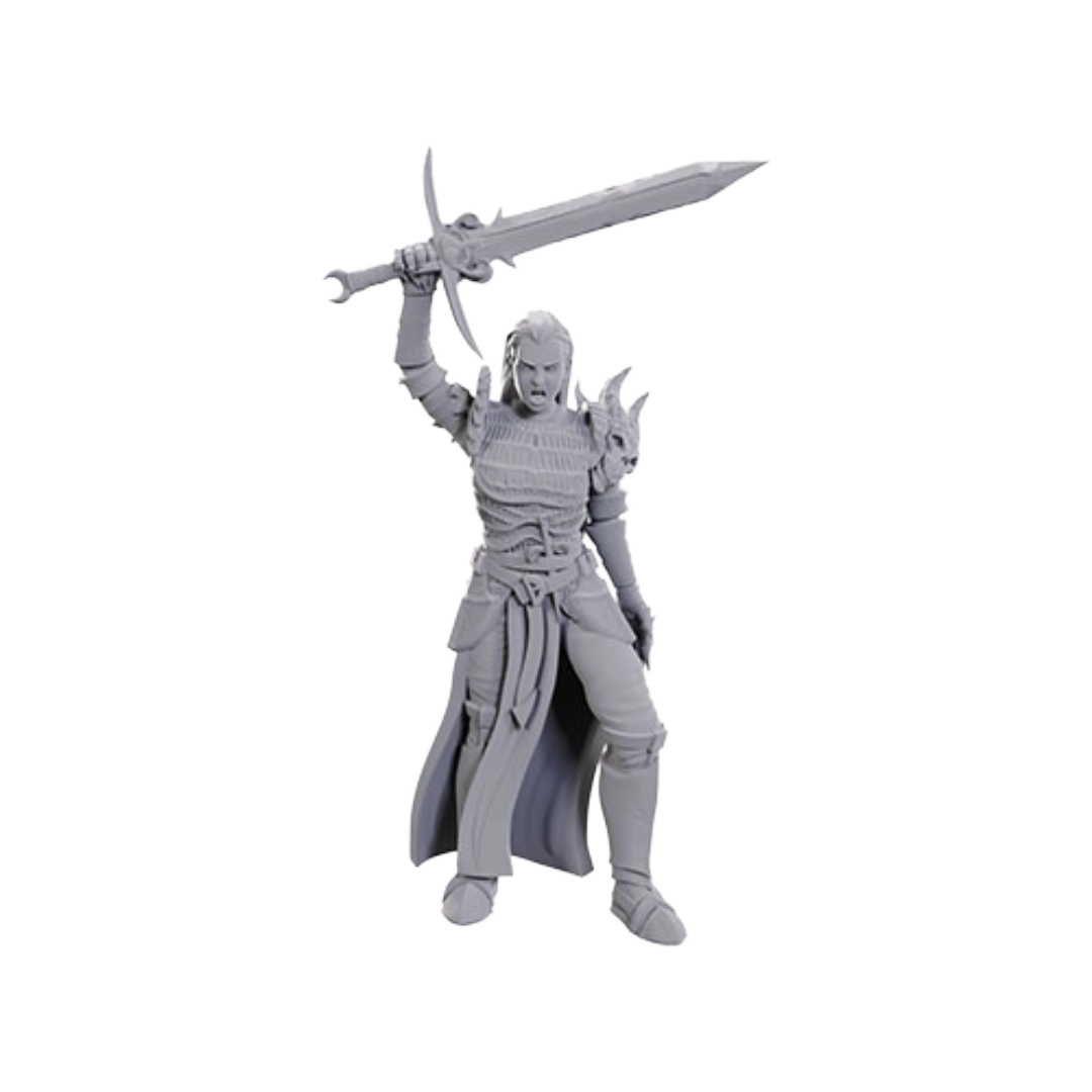 Wizkids - D&D Nolzurs Marvelous Miniatures: Wave 25 - Blackguard