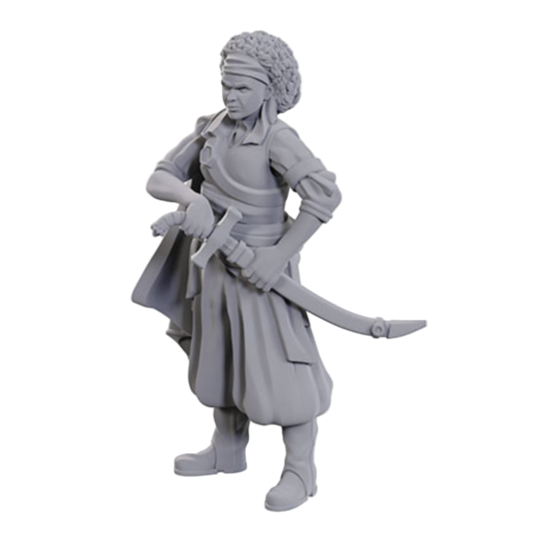 Wizkids - D&D Nolzurs Marvelous Miniatures - Ansalon Human Rogue - Wave 23