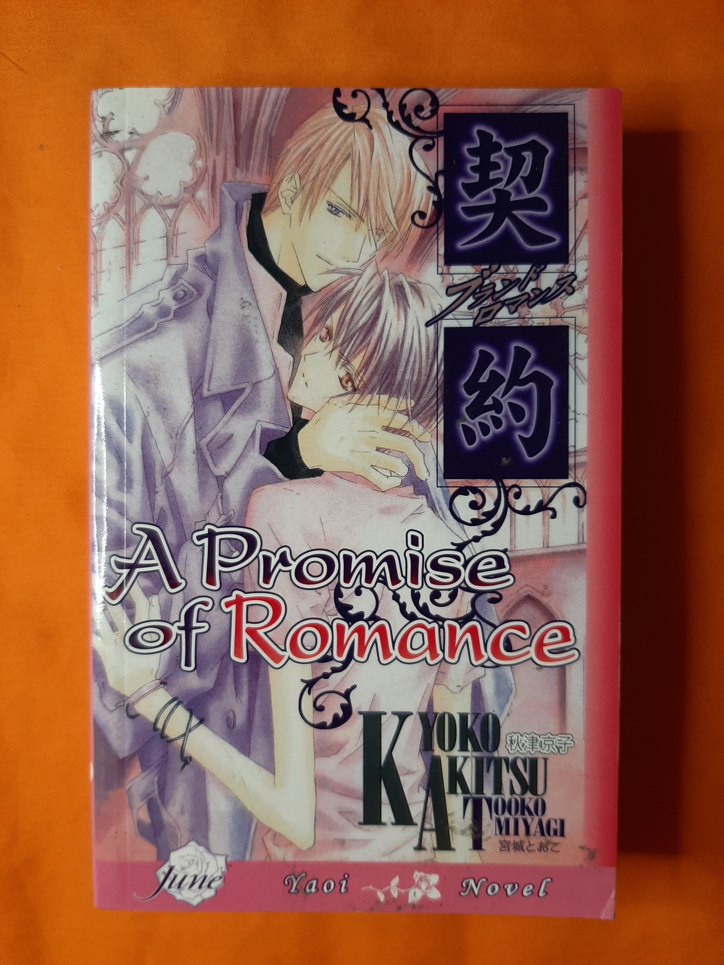 A Promise of Romance