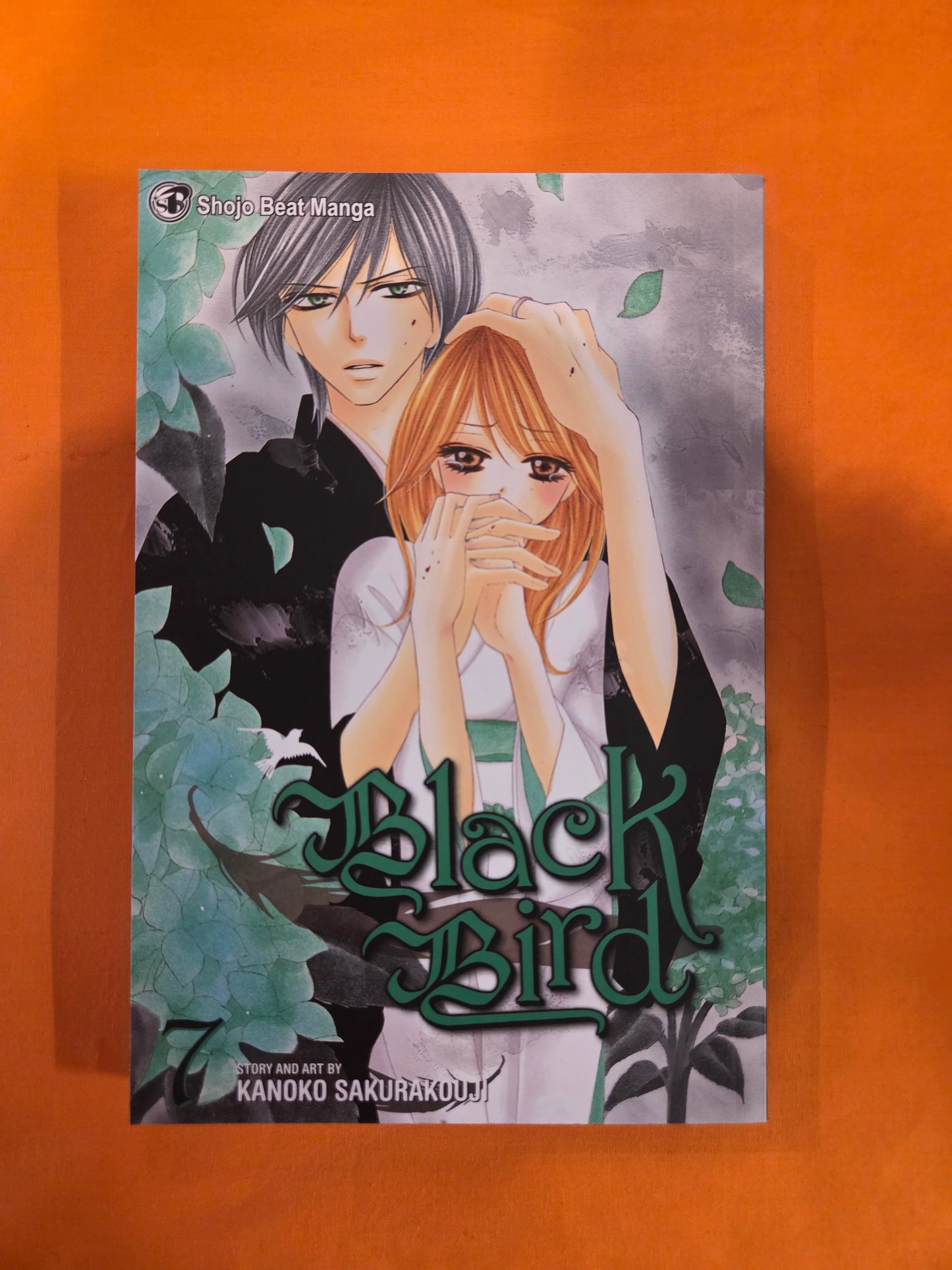 Black Bird (Volume 7)