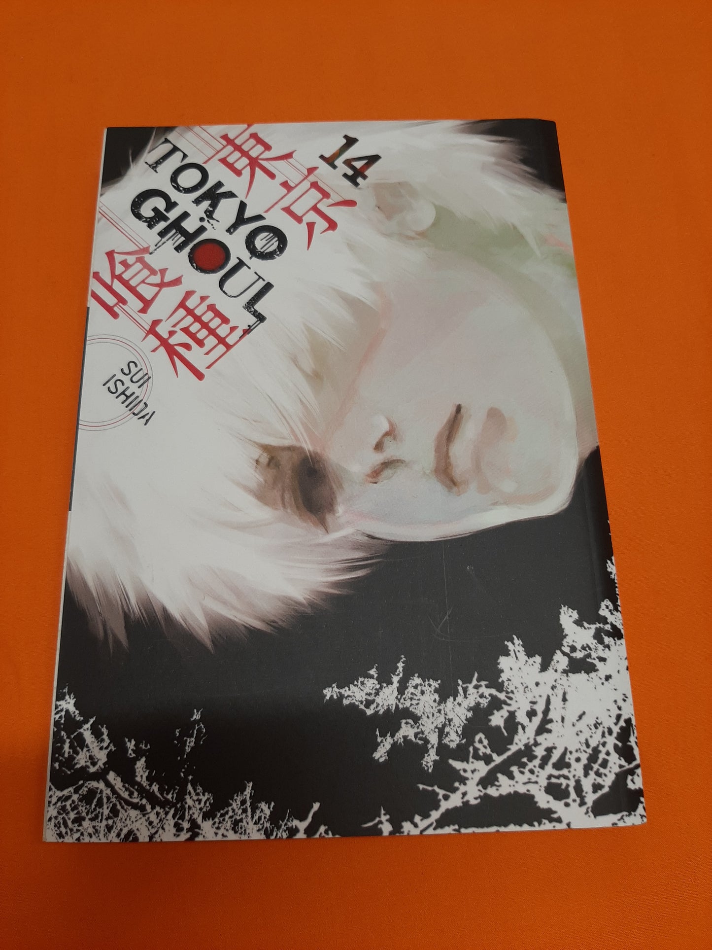 Tokyo Ghoul (Volume 14)