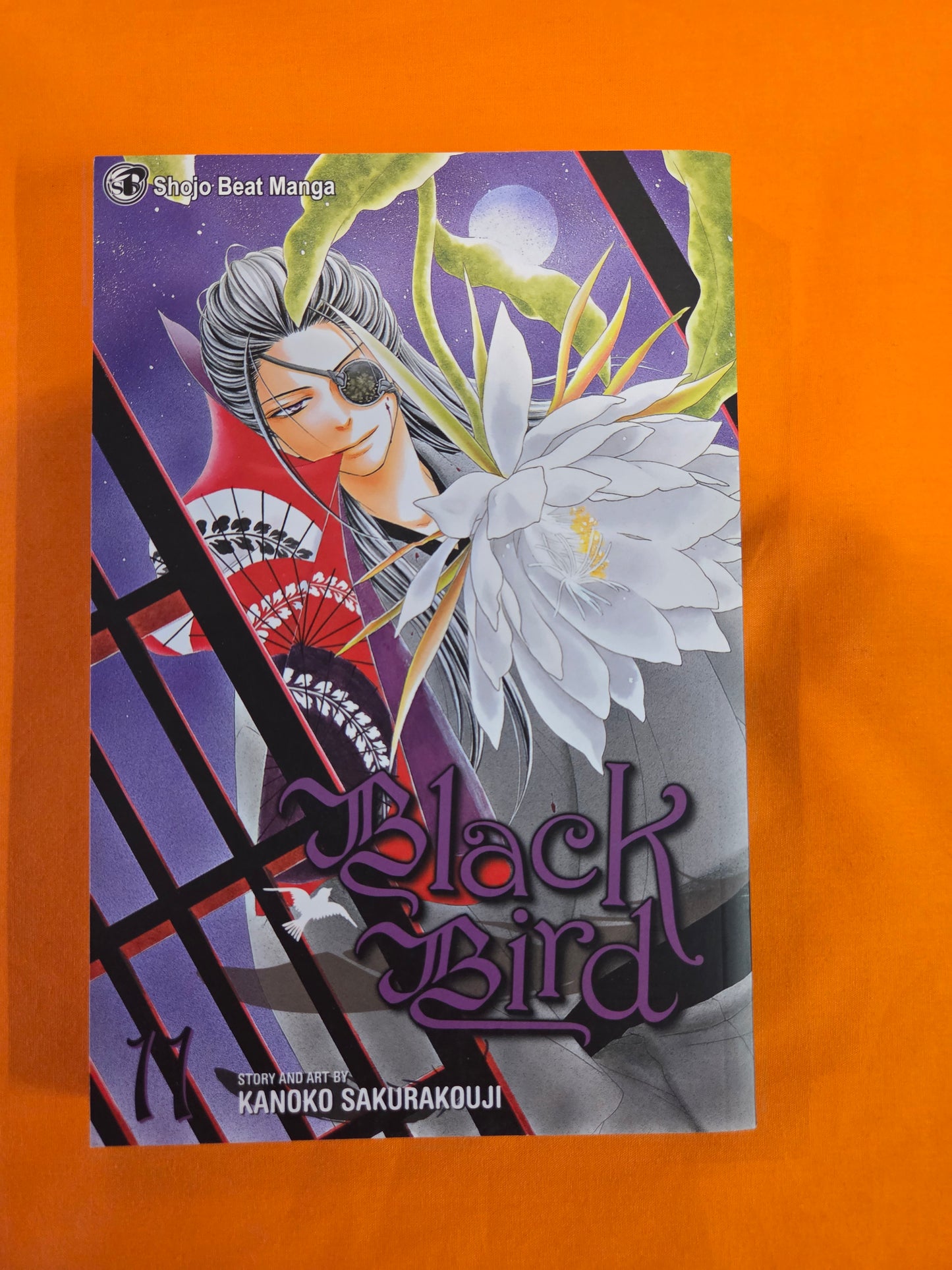 Black Bird (Volume 11)