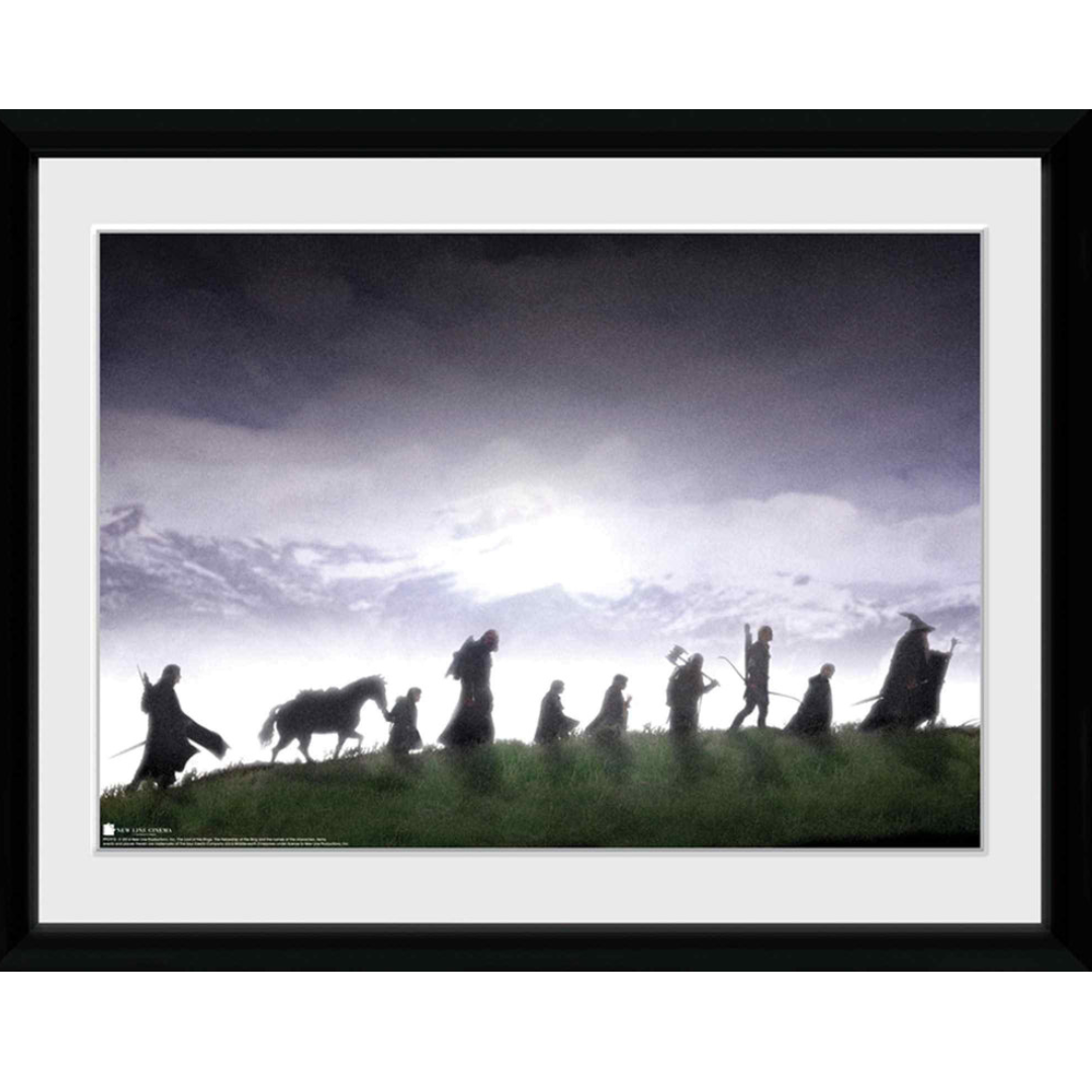 The Lord of The Rings Fellowship 30 x 40cm Framed Collector Print