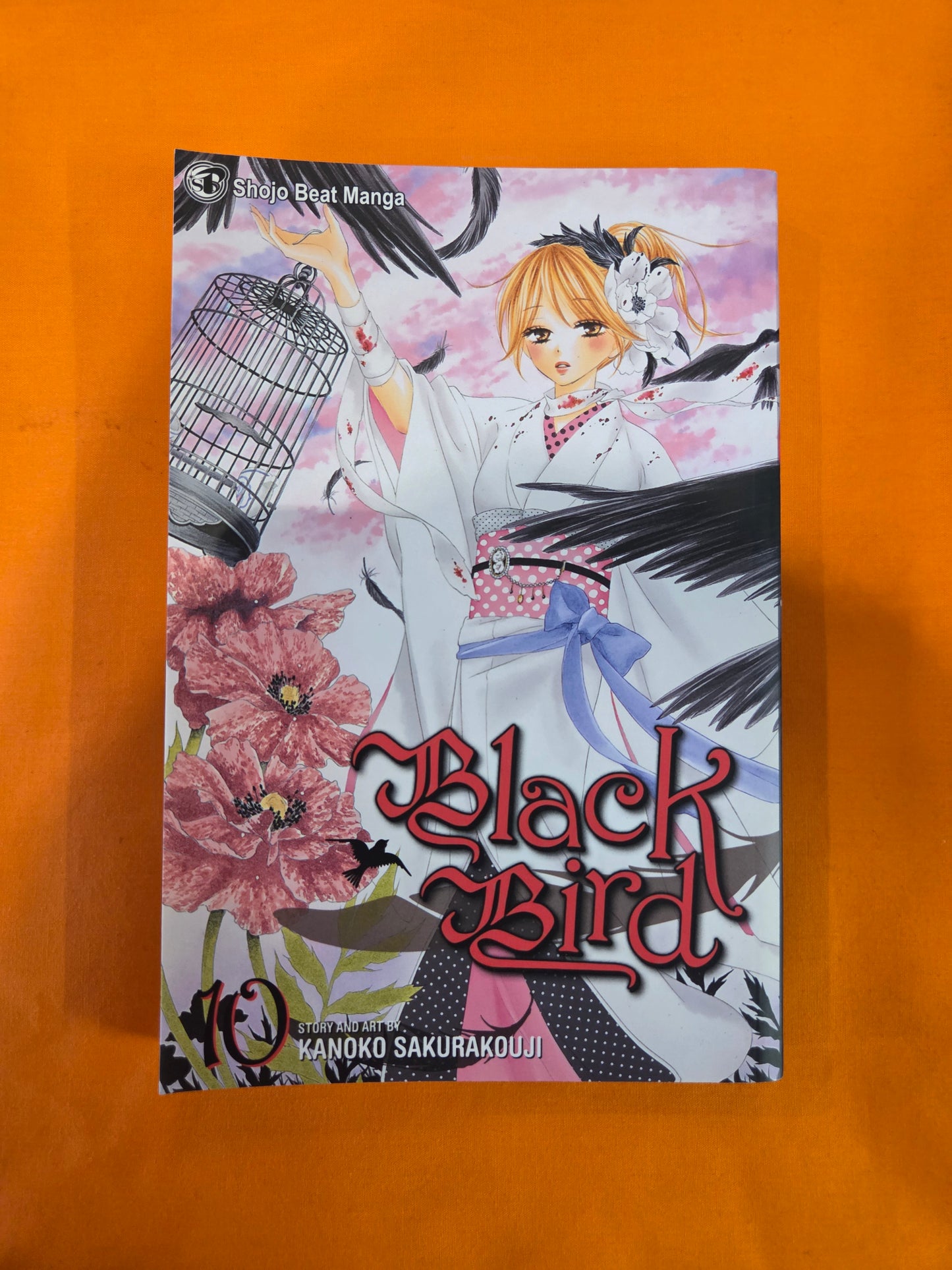 Black Bird (Volume 10)