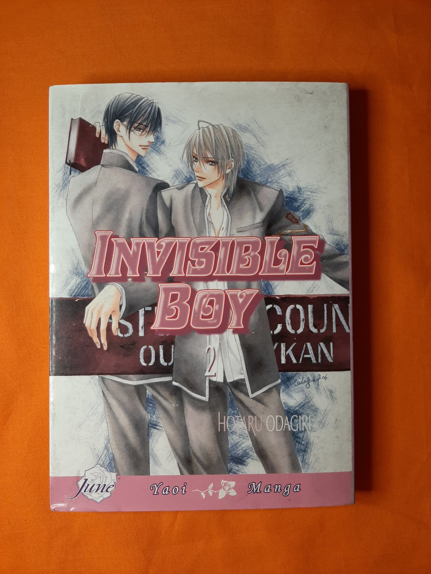 Invisible Boy (Volume 2)