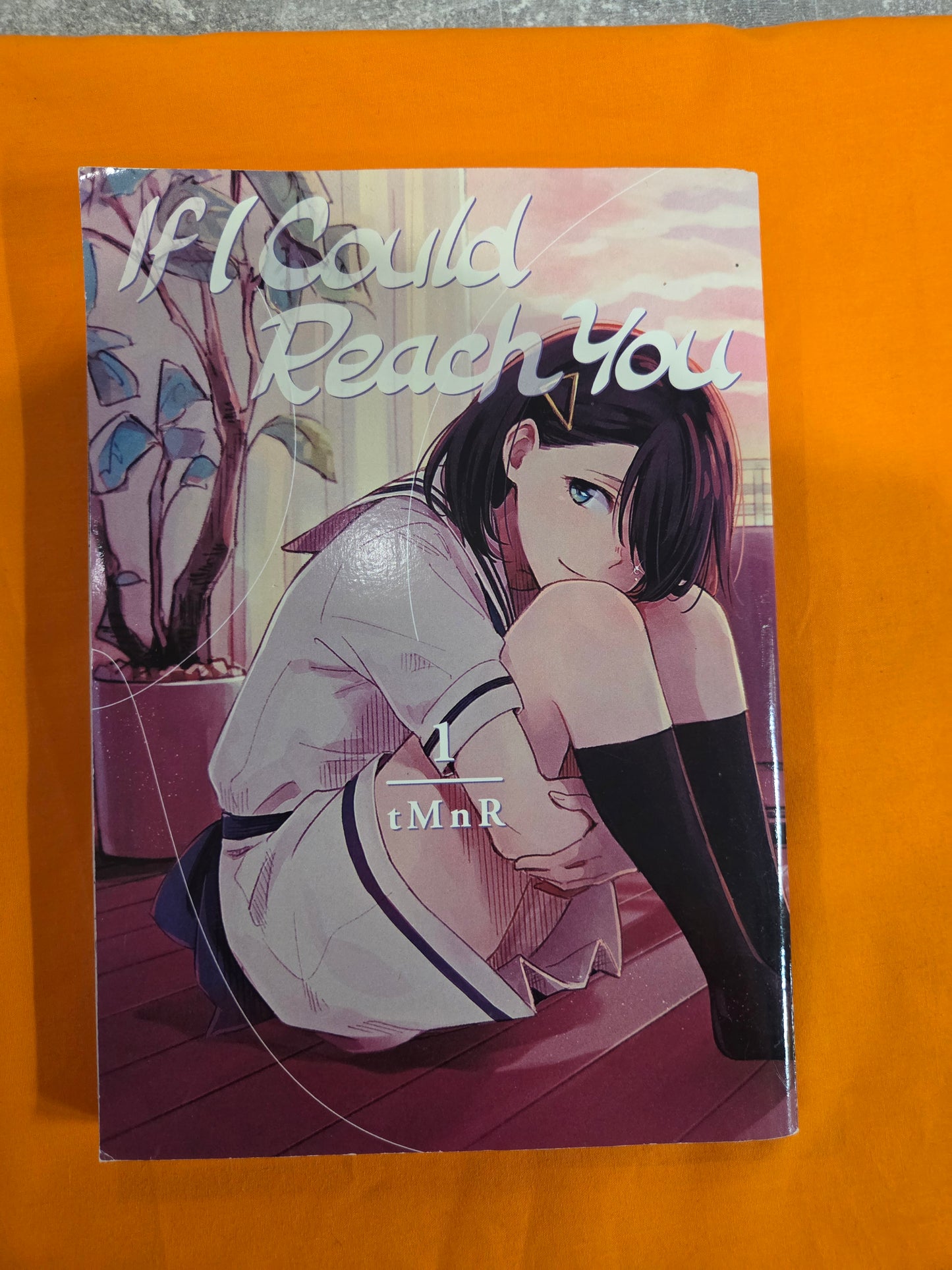 If I Could Reach You (Volume 1)