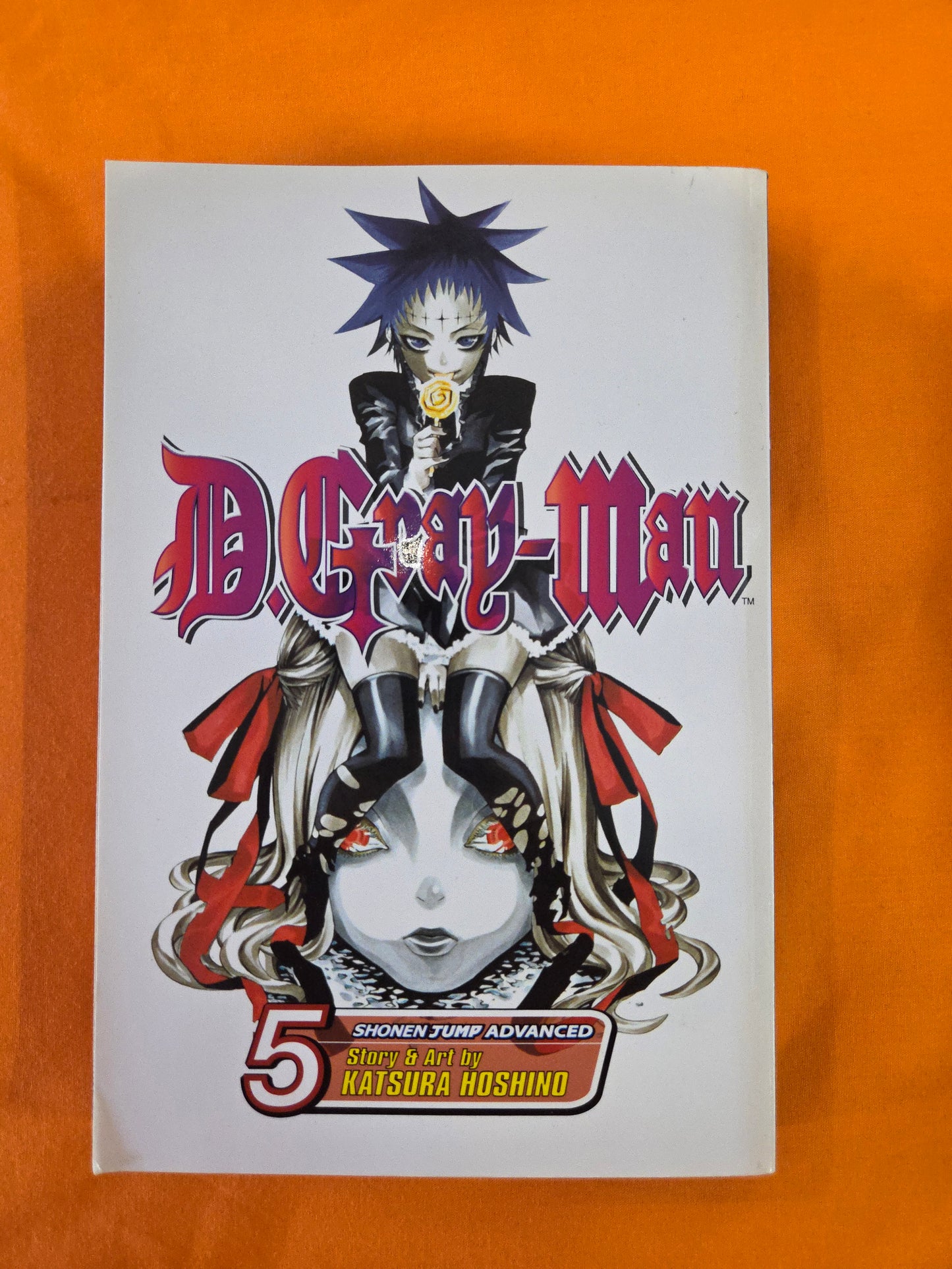 D.Grey-man (Volume 5)