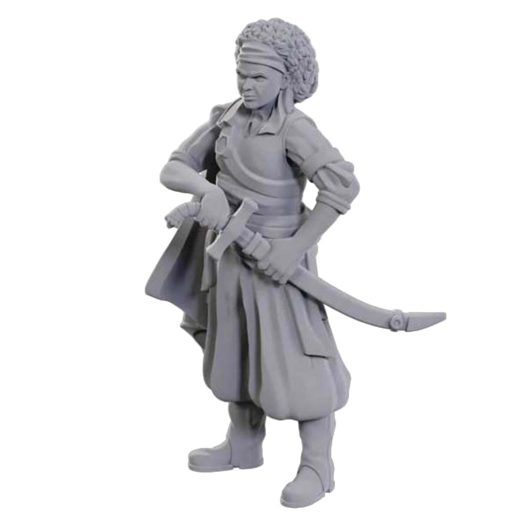 D&D Nolzur's Marvelous Unpainted Miniatures: Ansalon Human Rogue