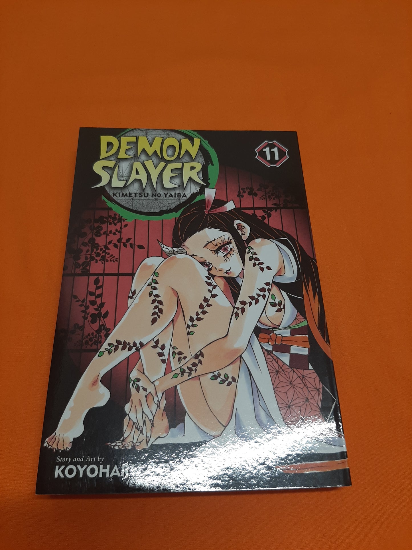 Demon Slayer (Volume 11)