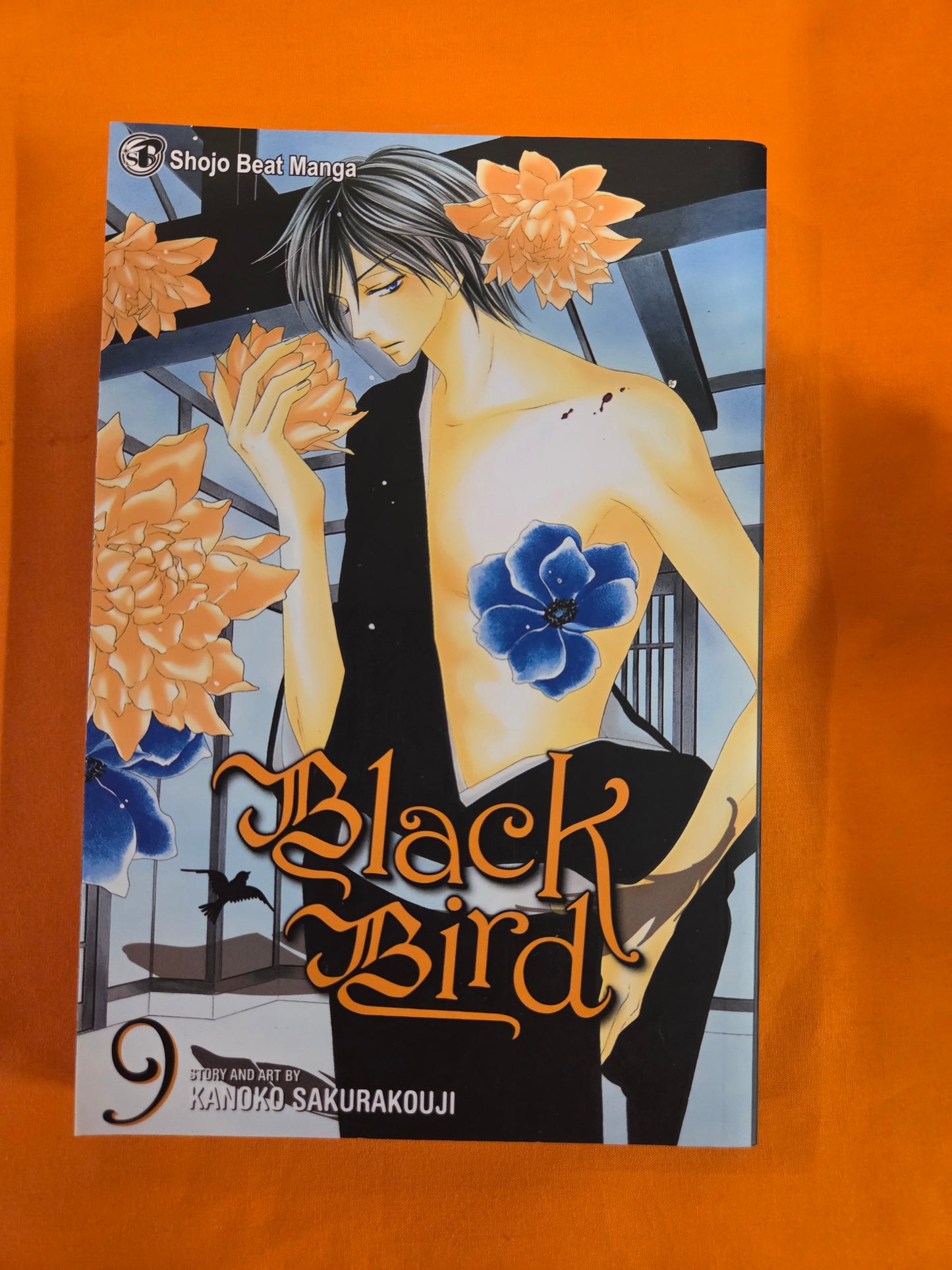 Black Bird (Volume 9)