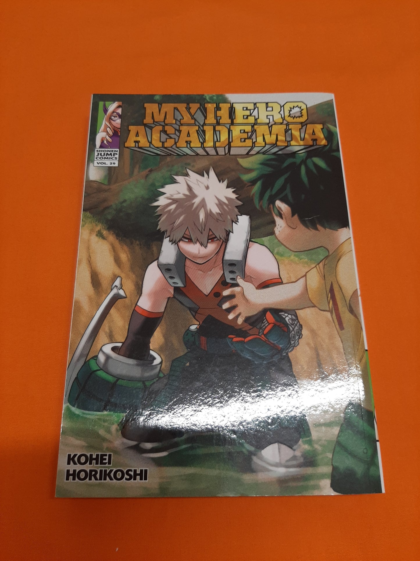My Hero Academia (Volume 29)
