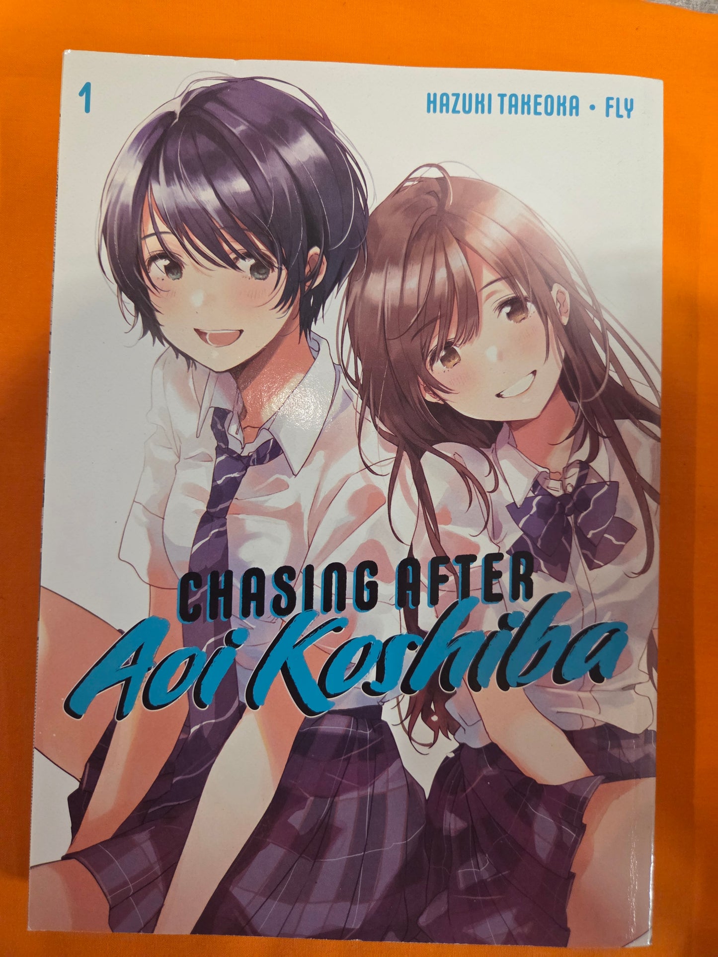 Chasing After Aio Koshiba (Volume 1)