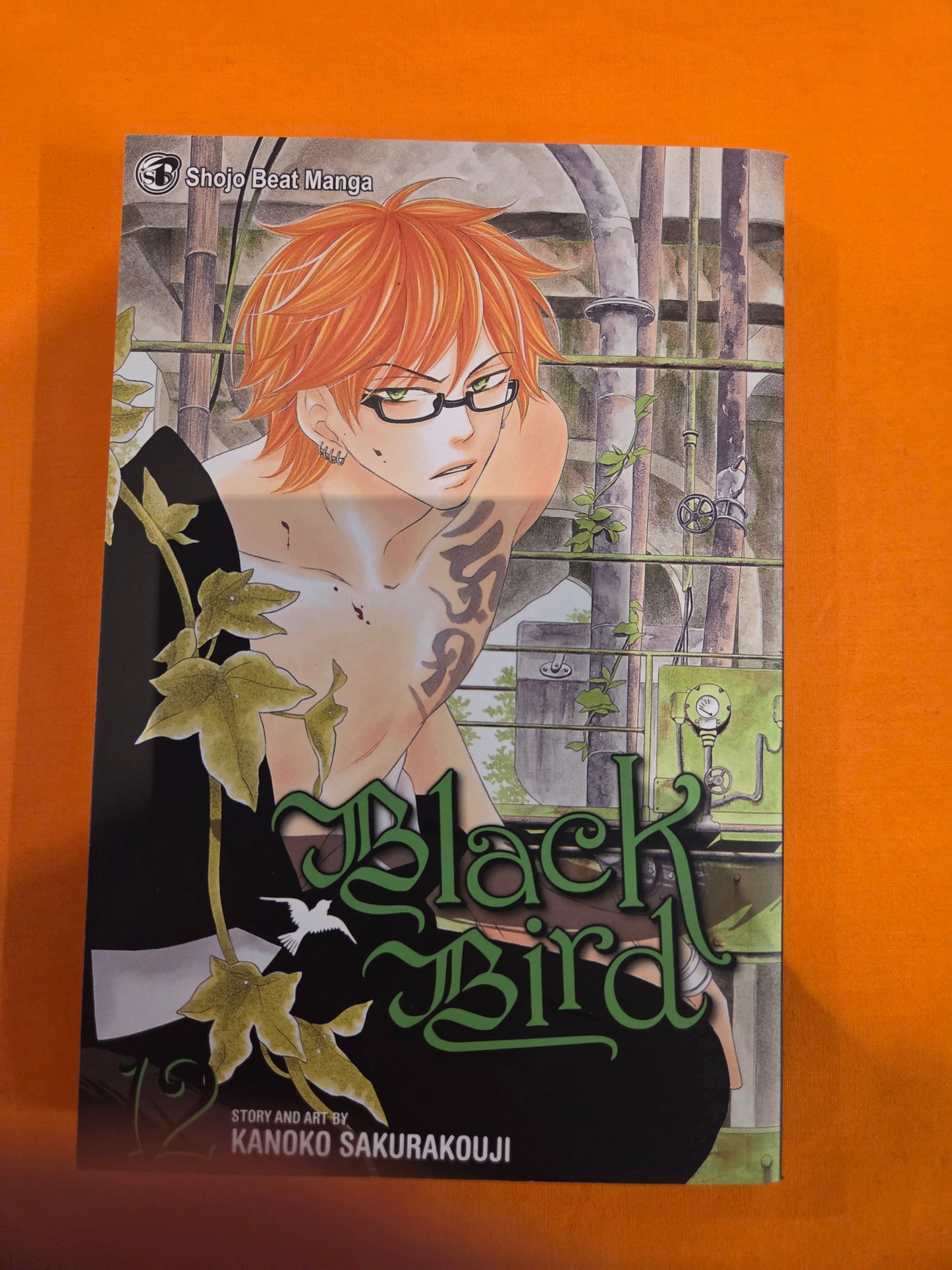 Black Bird (Volume 12)