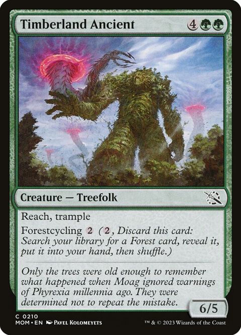 210-timberlandancient
