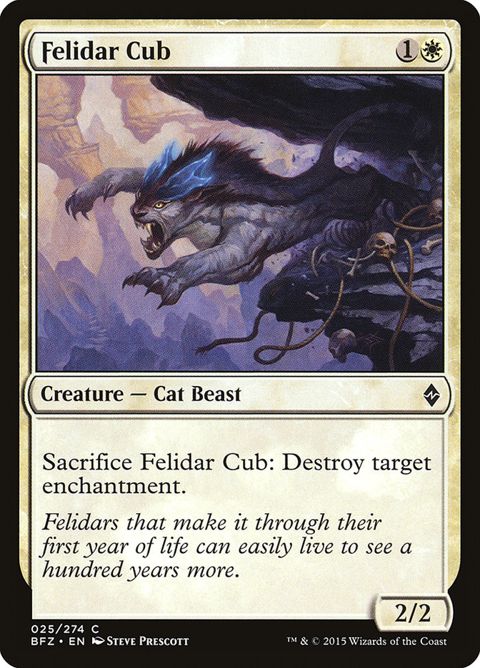 25-felidarcub