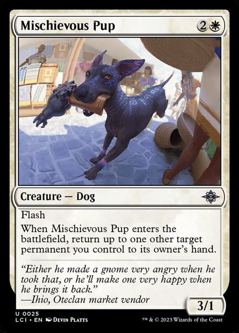 25-mischievouspup