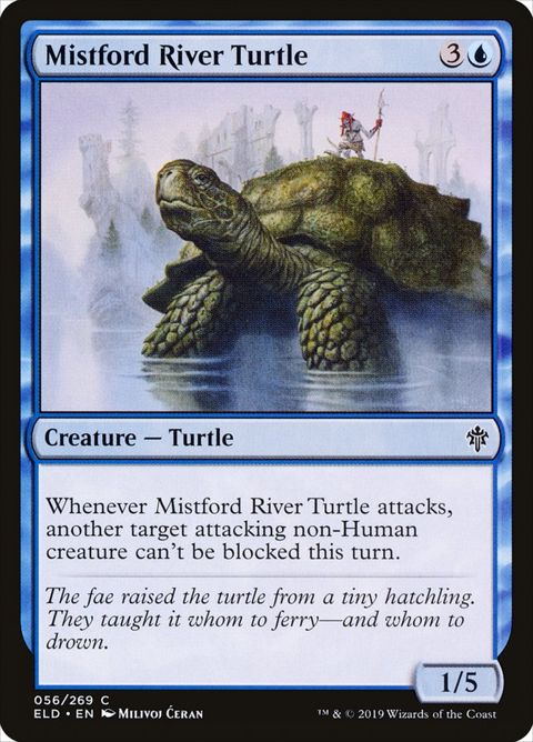 56-mistfordriverturtle