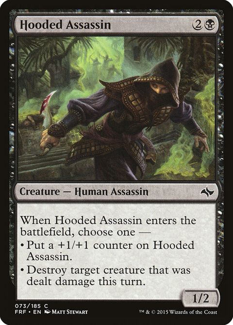 73-hoodedassassin