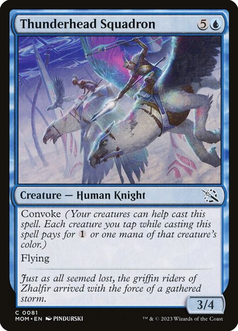 81-thunderheadsquadron