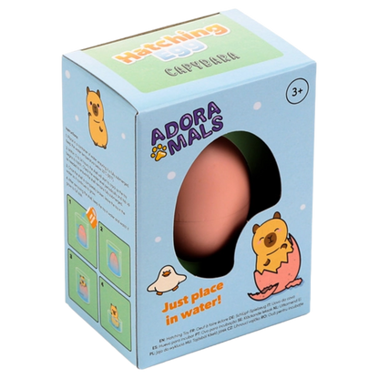 Capybara Hatching Egg