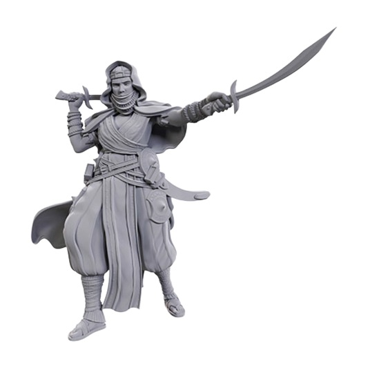 Wizkids - Pathfinder Battles Deep Cuts Miniatures: Desert Giant - Wave 23