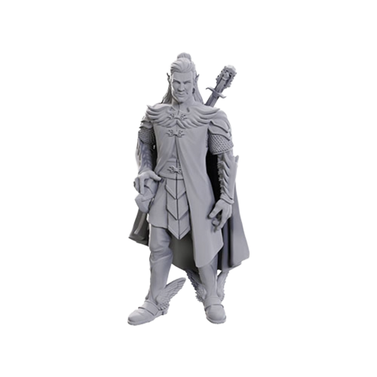 Wizkids - Critical Role Miniatures: Dorian Storm - Wave 23