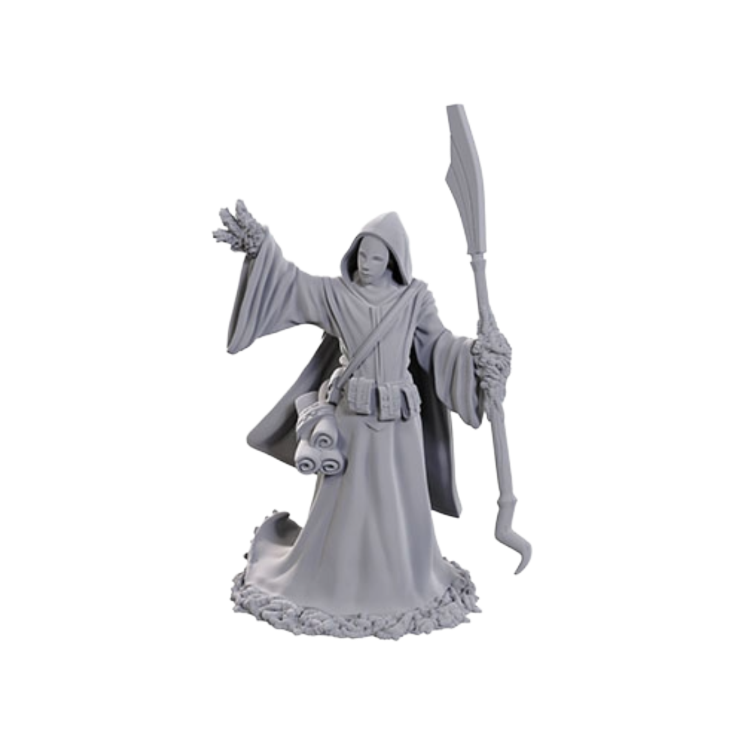 Wizkids - D&D Nolzurs Marvelous Miniatures: Wave 25 - Star Spawn Larva Mage