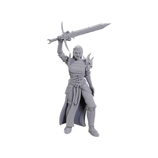 Wizkids - D&D Nolzurs Marvelous Miniatures: Wave 25 - Blackguard