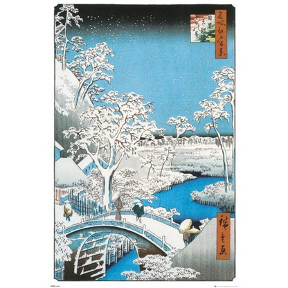Maxi posters (unframed)