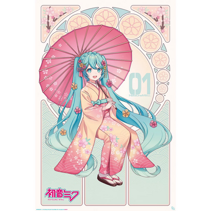 Maxi posters (unframed)