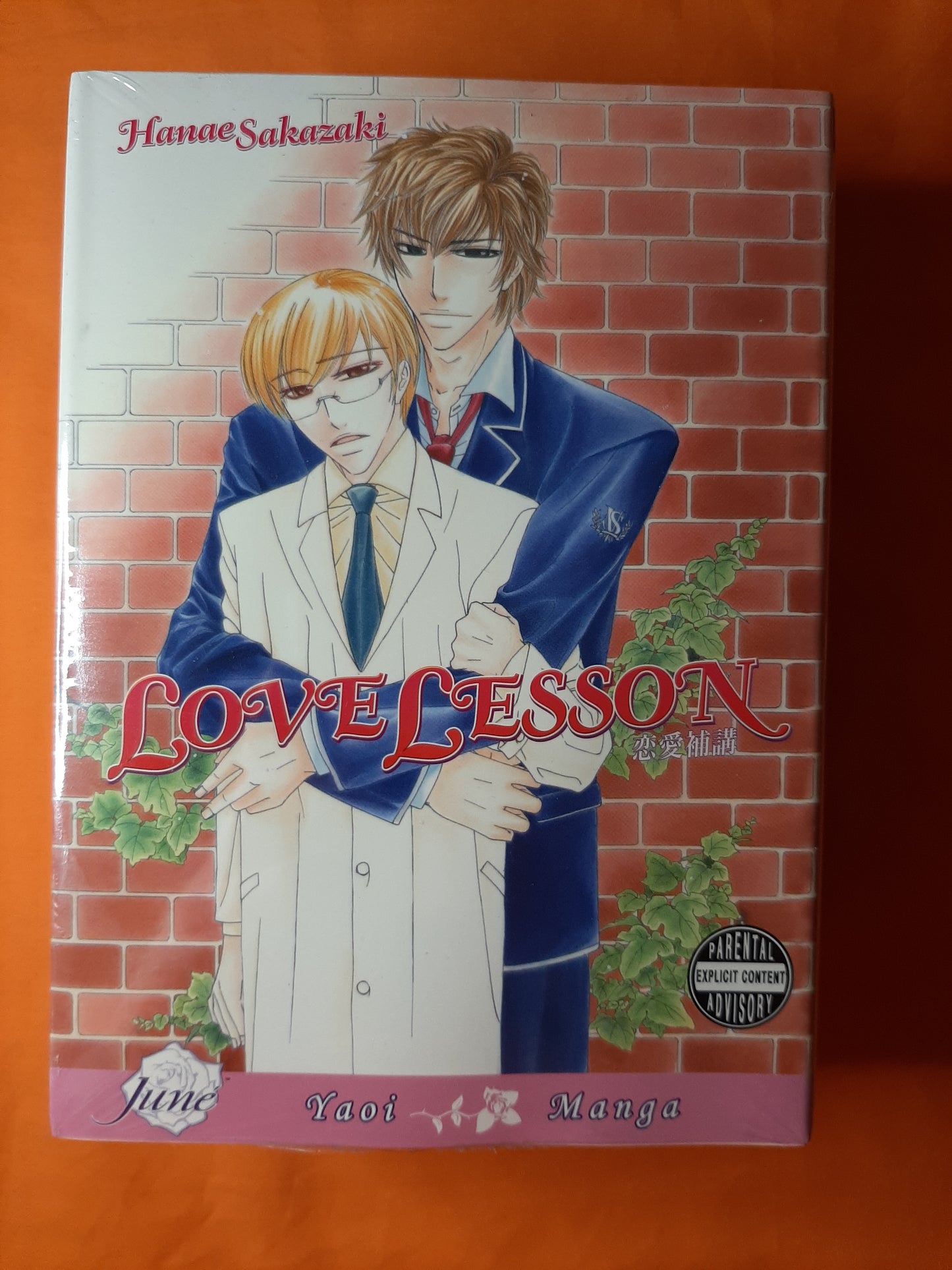 Love Lesson