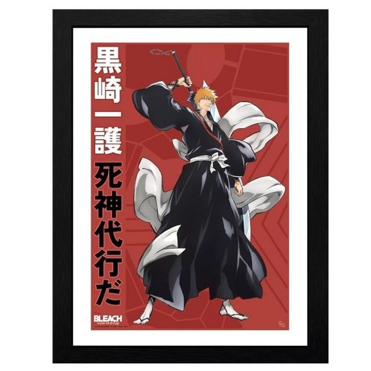 Bleach poster