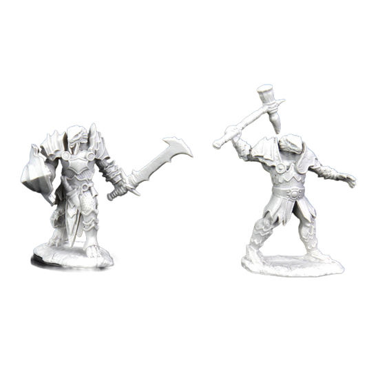 Wizkids - D&D Nolzurs Marvelous Miniatures: Male Dragonborn Paladin - Wave 12