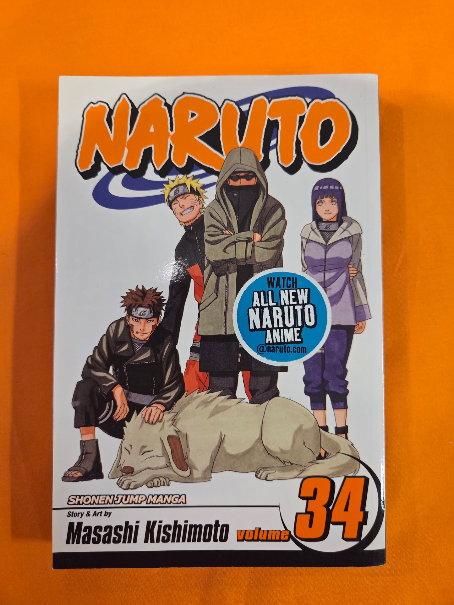 Naruto (Volume 34)