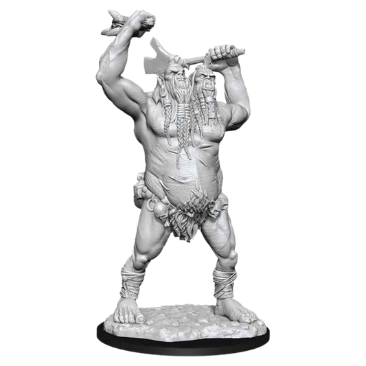 D&D Nolzur's Marvelous Miniatures: Ettin