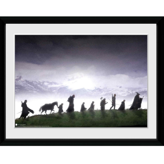 The Lord of The Rings Fellowship 30 x 40cm Framed Collector Print