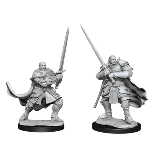 Wizkids - D&D Nolzurs Marvelous Miniatures: Half-Orc Paladin Male - Wave 15