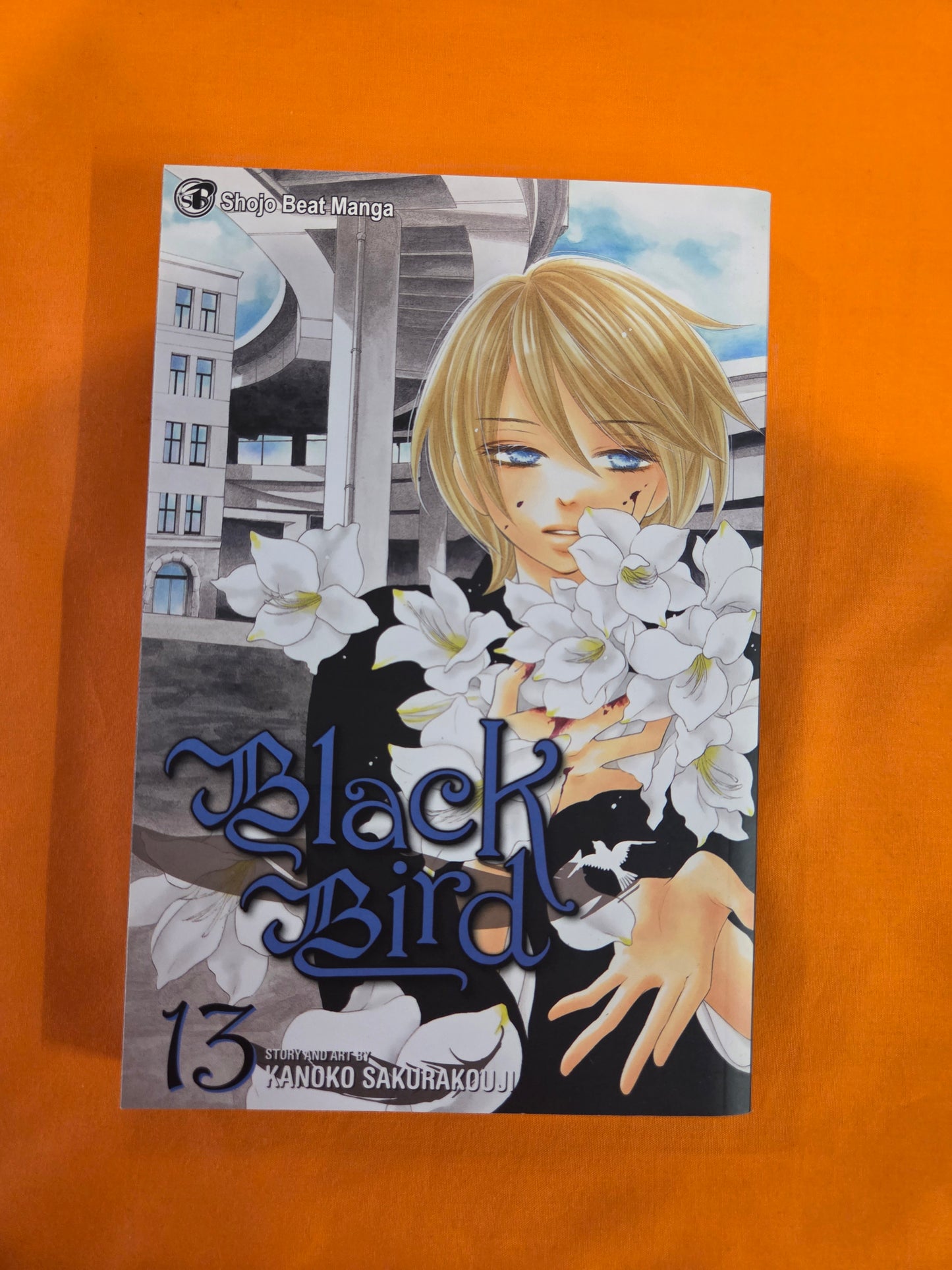 Black Bird (Volume 13)