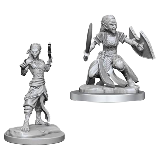 WizKids - D&D Nolzurs Marvelous Miniatures: Shifter Fighter - Wave 20