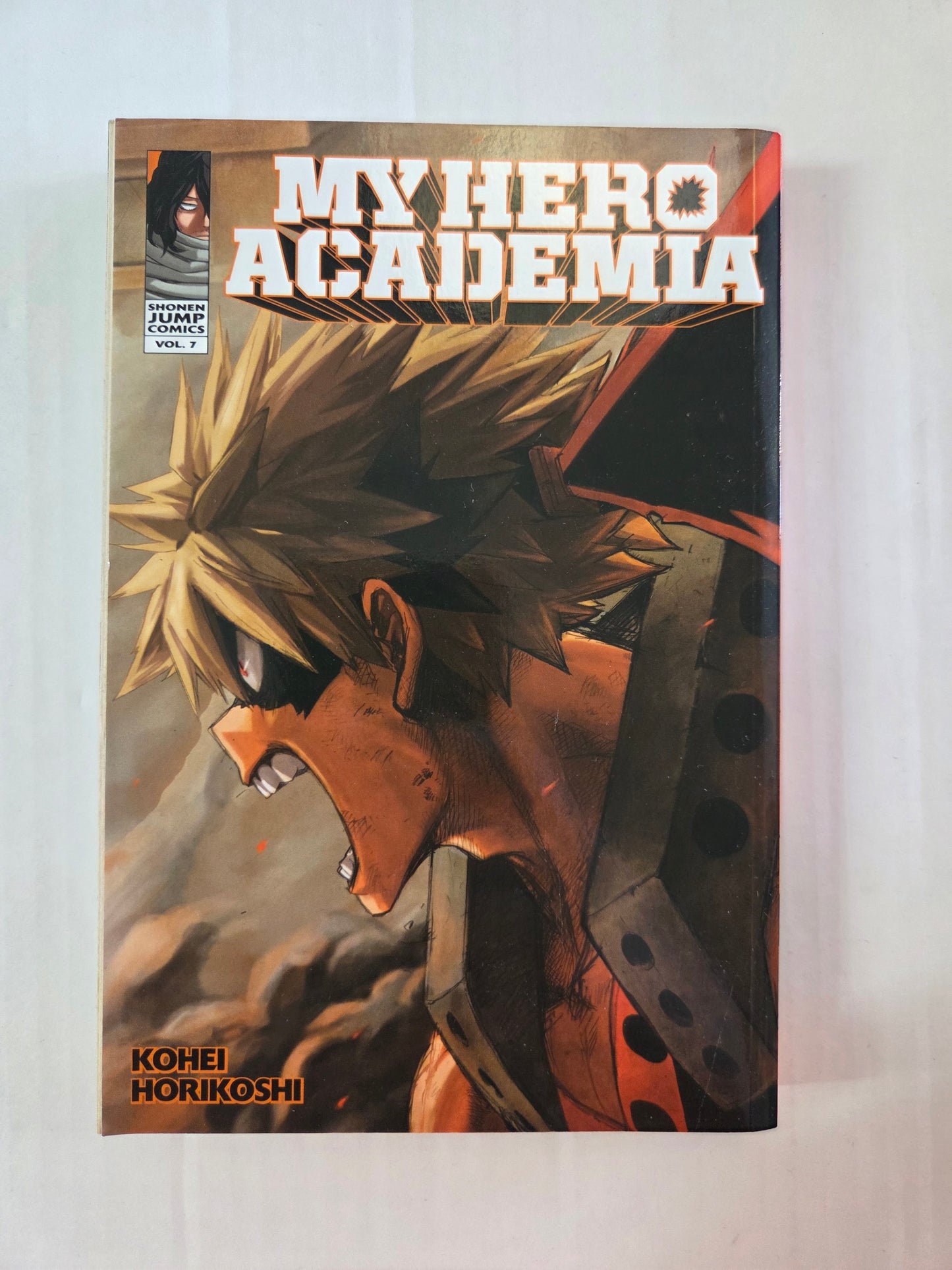 My Hero Academia (Volume 7)