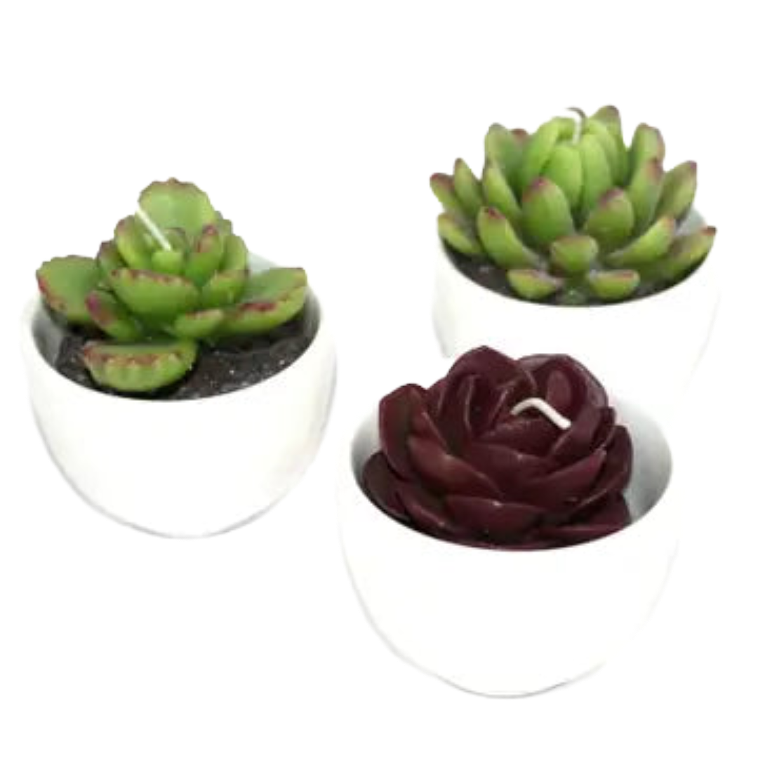 Succulent Candle