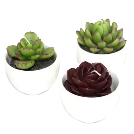Succulent Candle