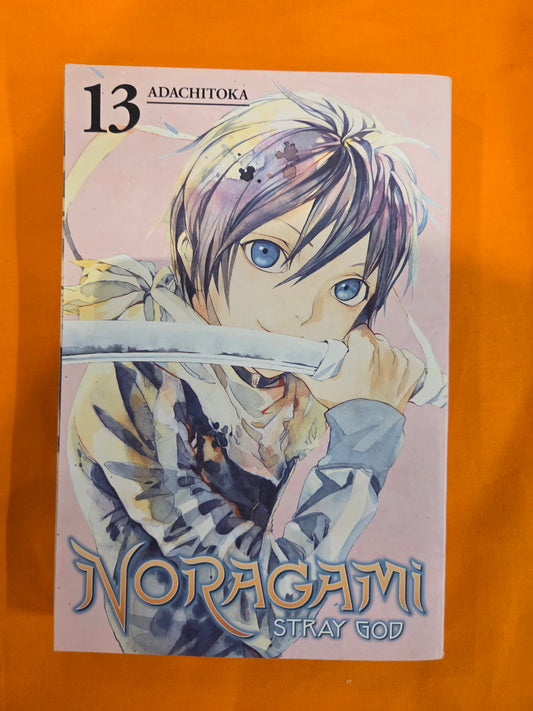 Noragami Stray God (Volume 13)