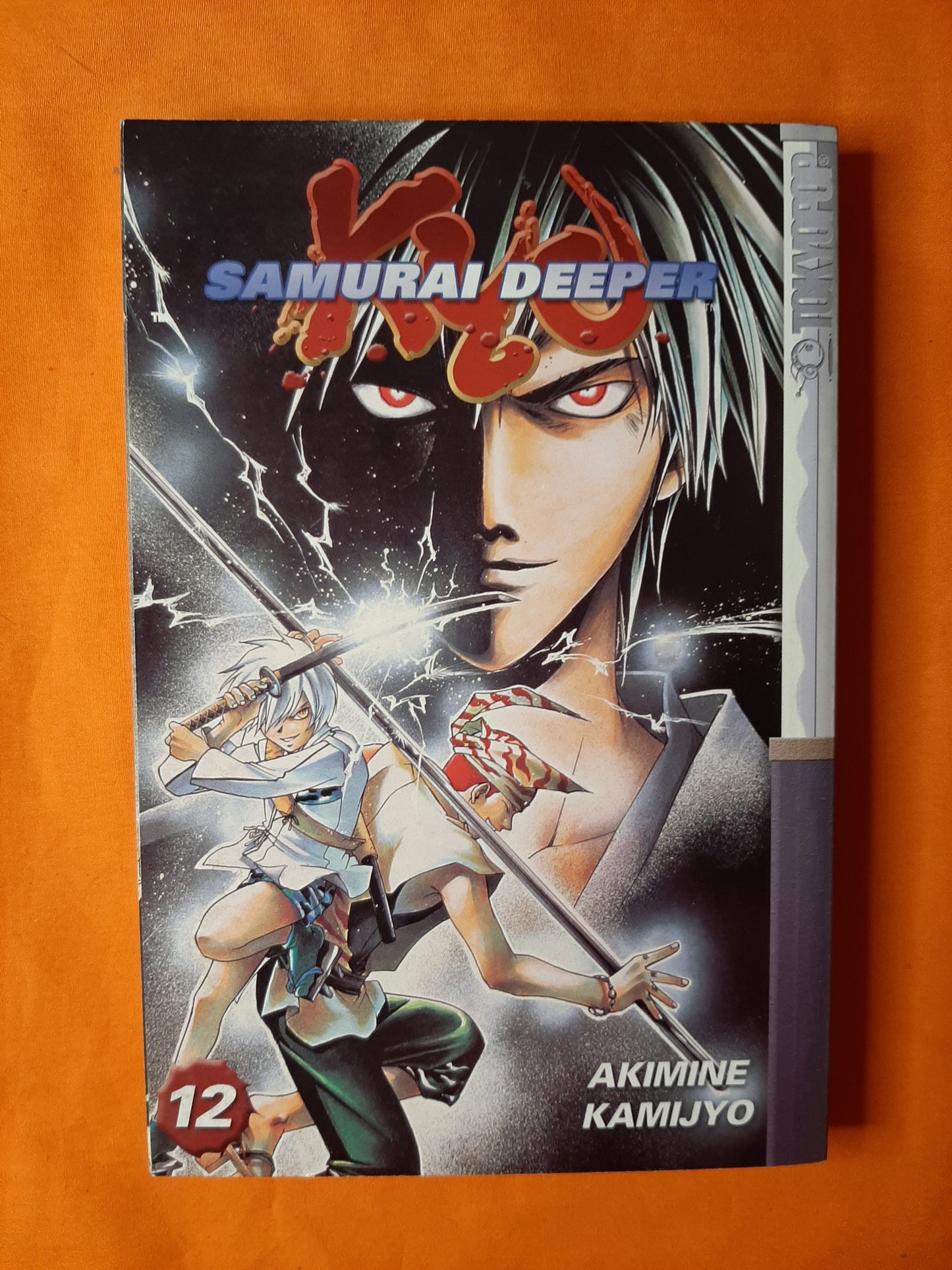 Samurai Deeper (Volume 12)