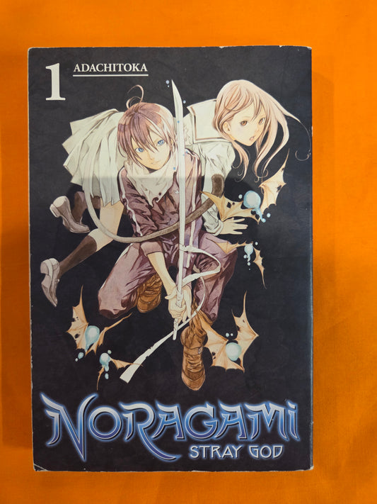 Noragami Stray God (Volume 1)